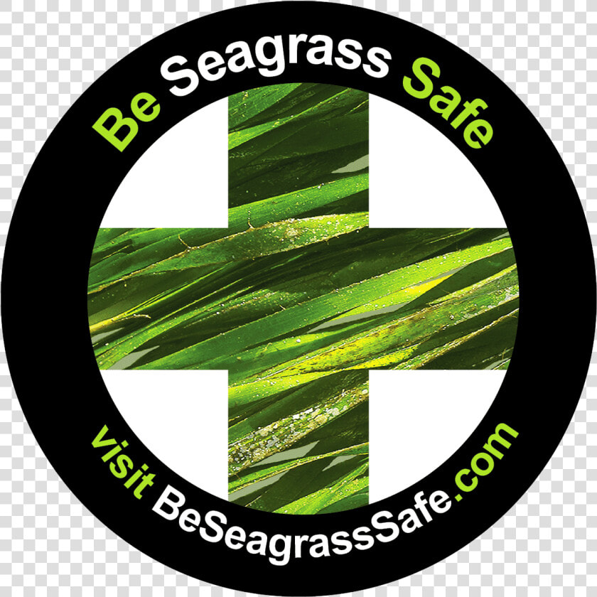 Be Seagrass Safe   Circle  HD Png DownloadTransparent PNG