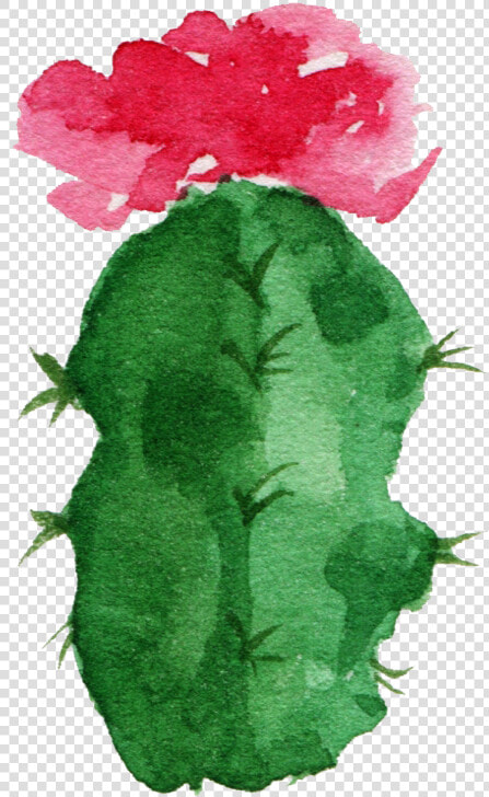 Paper Cactaceae Watercolor Painting Succulent Plant  HD Png DownloadTransparent PNG