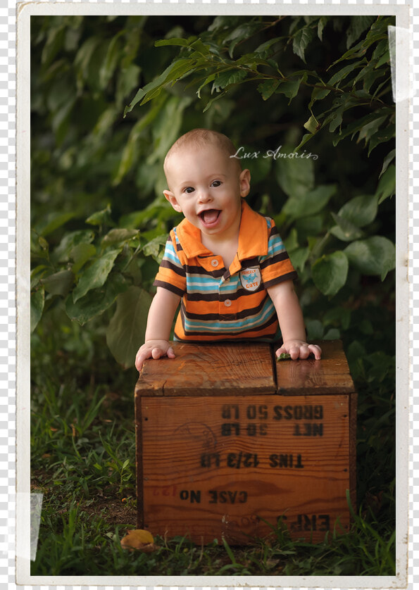 Harford County Baby Photographer Jen Snyder Of Lux   Toddler  HD Png DownloadTransparent PNG