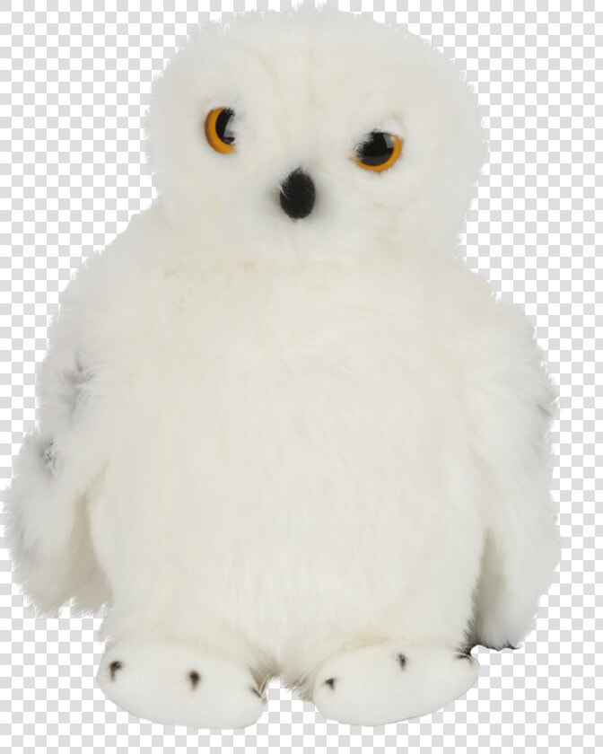 Hedwig Medium Plush Scaled 001 V  HD Png DownloadTransparent PNG