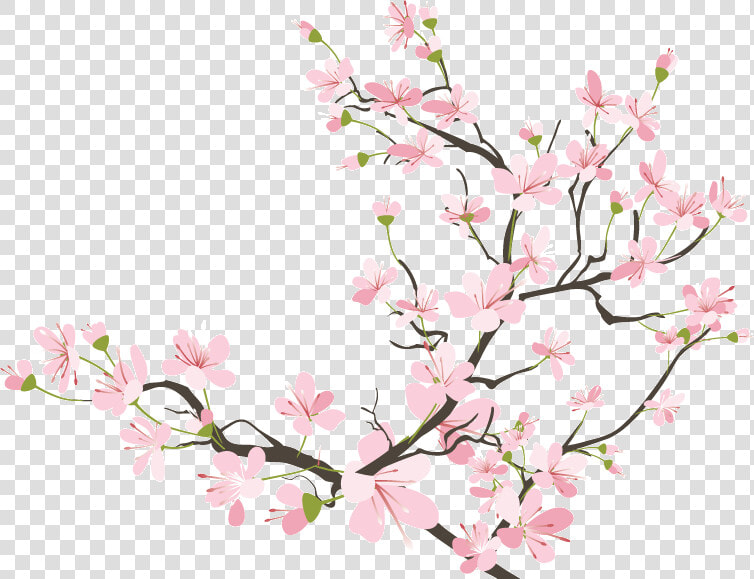 Cherry Blossom Tumblr At   Japanese Cherry Blossom Transparent  HD Png DownloadTransparent PNG