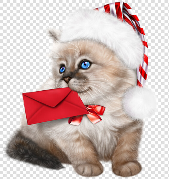 Tube Noël   Ragdoll Kittens Clipart  HD Png DownloadTransparent PNG