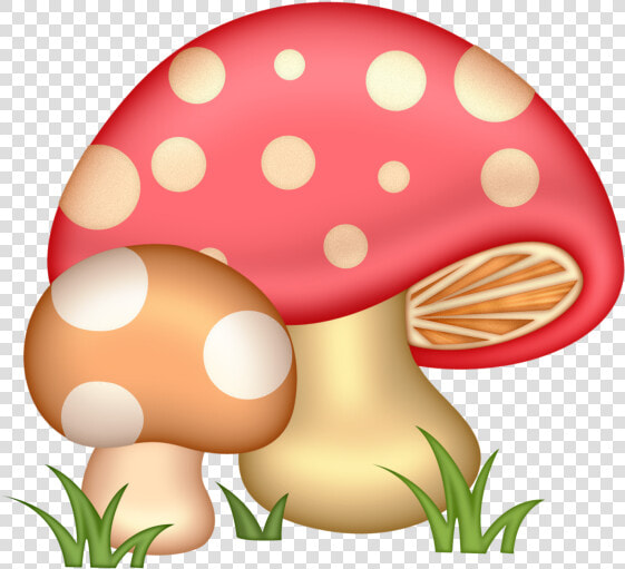 Hut Clipart Mushroom   Mushroom Clip Art Png  Transparent PngTransparent PNG