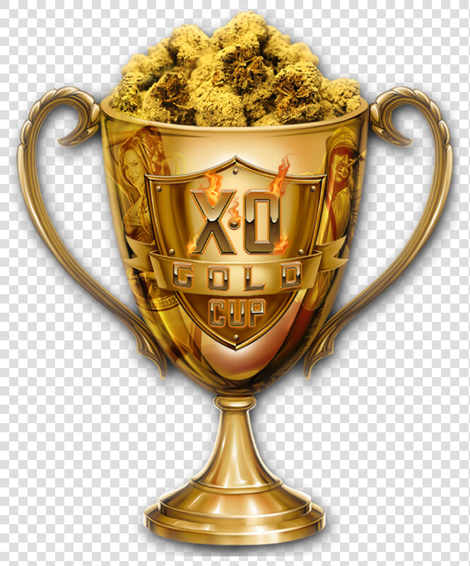 Trophy Golden Gold Cup Concacaf Wilmington Angeles   Trophy  HD Png DownloadTransparent PNG