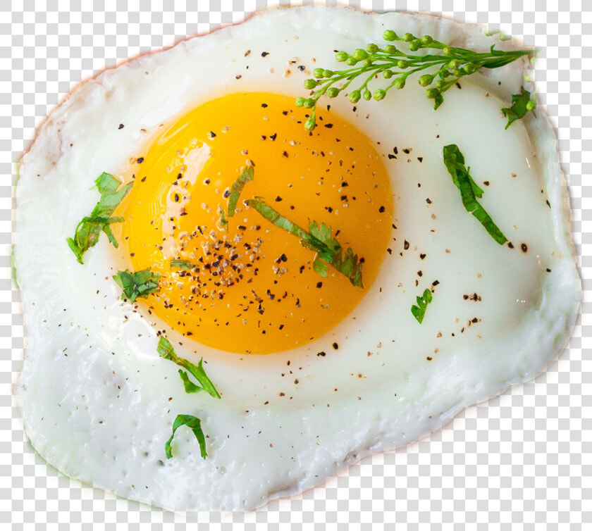  freetoedit  ftestickers  egg  omelette   Egg Omelet Png  Transparent PngTransparent PNG