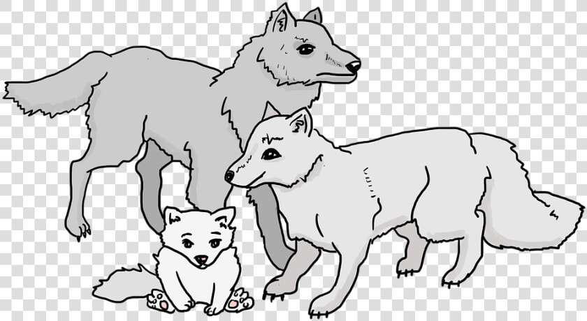 Wolves  Wolf Pack  Wolf  Cub  Family  Beast  Animals   Pack Of Wolves Cartoon  HD Png DownloadTransparent PNG