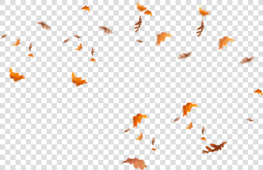 Falling Leaves Png   Transparent Fall Leaves Overlay  Png DownloadTransparent PNG