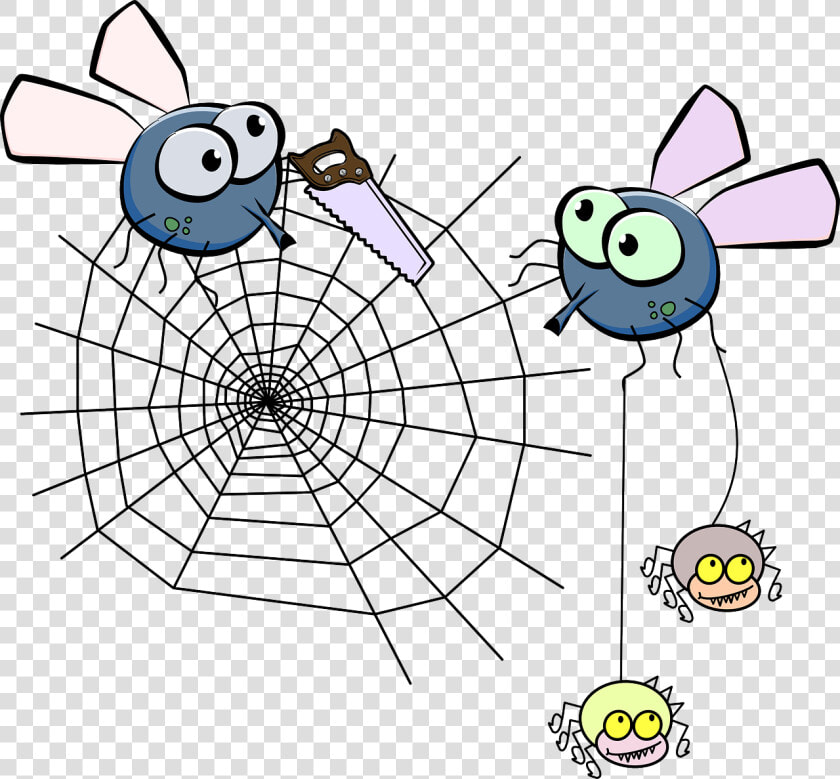 Flies Mosquito Spider Free Photo   Spider Web Png Corner  Transparent PngTransparent PNG