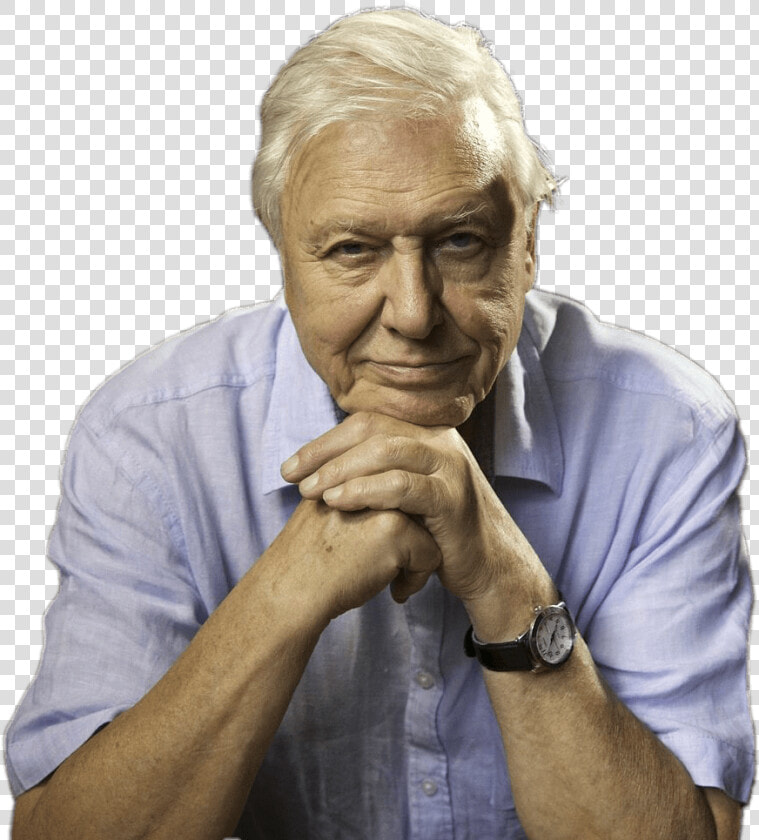 David Attenborough Sitting Png Image   David Attenborough Plastic Quotes  Transparent PngTransparent PNG