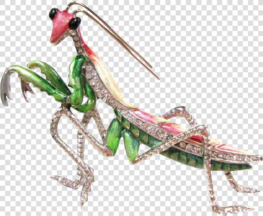 Marcel Boucher Praying Mantis  HD Png DownloadTransparent PNG