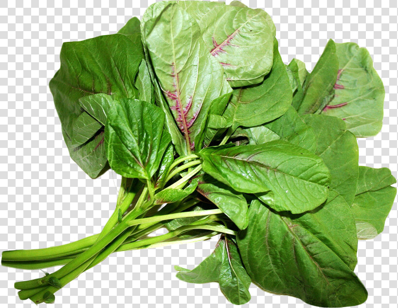 Amaranth Leaves Png Image  Transparent PngTransparent PNG