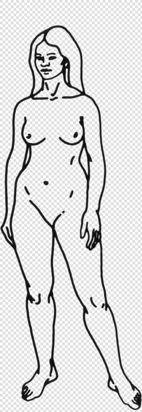 File   Human woman   Homo Sapiens Easy To Draw  HD Png DownloadTransparent PNG