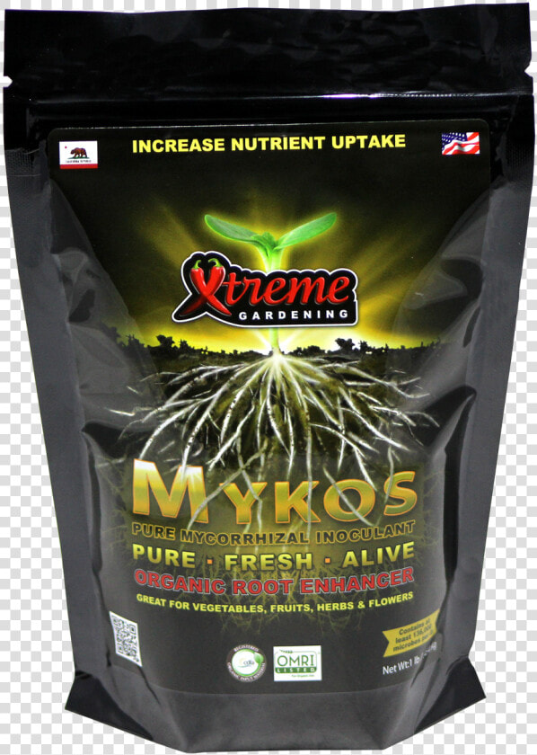 Mykos Mycorrhizae  HD Png DownloadTransparent PNG