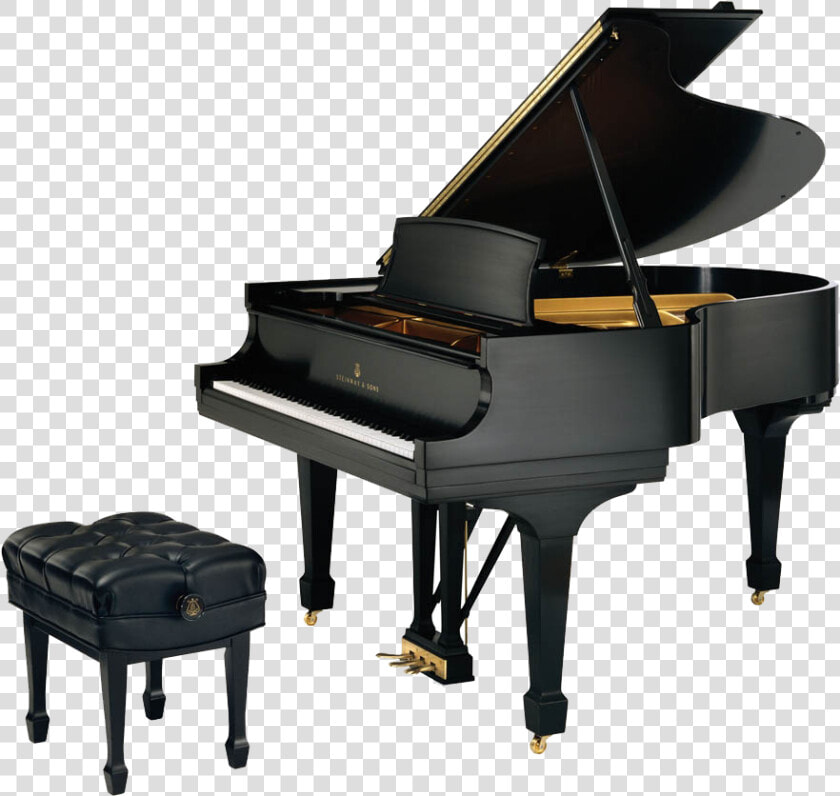 Black Steinway Grand Piano  HD Png DownloadTransparent PNG