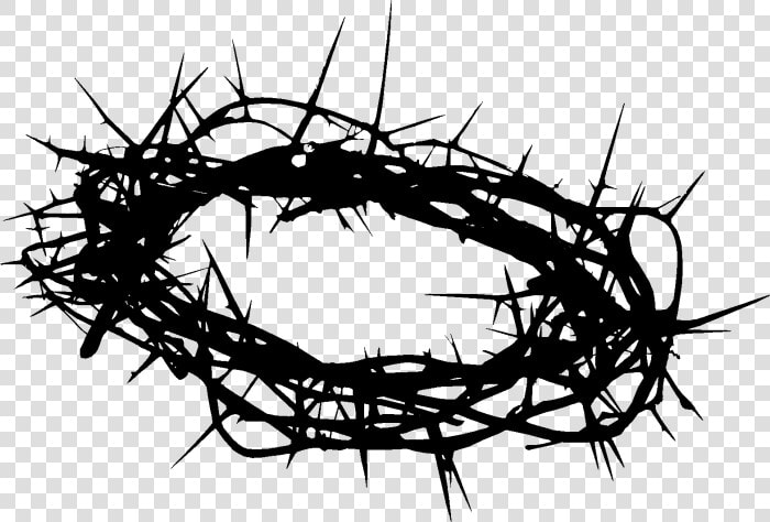 Crown Of Thorns Clip Art Image Christian Cross Prince   Crown Of Thorns Png  Transparent PngTransparent PNG