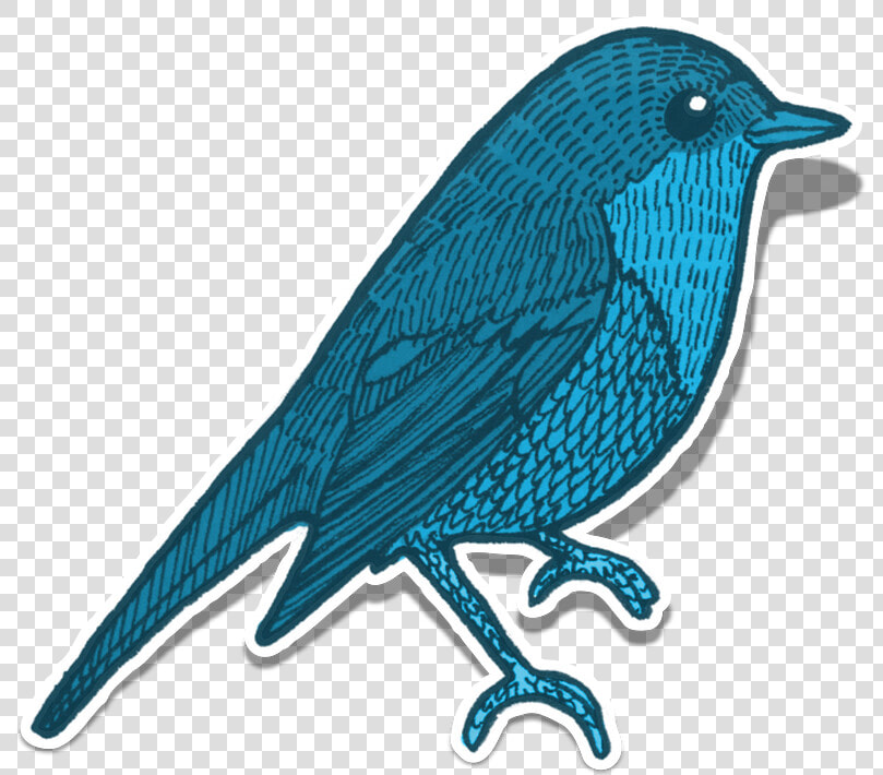 Blue Jay Clipart 18  Buy Clip Art   Elementos De La Naturaleza Animales  HD Png DownloadTransparent PNG