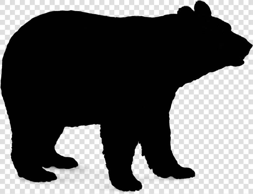 Polar Bear Brown Bear American Black Bear Vector Graphics   Vector Black Bear Png  Transparent PngTransparent PNG