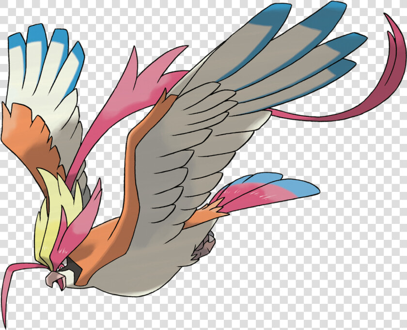 Pidgey Png  Transparent PngTransparent PNG