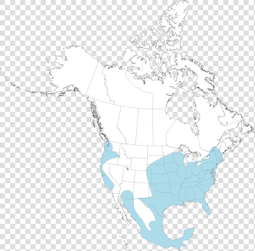 Opossum Map   North America Map Png  Transparent PngTransparent PNG