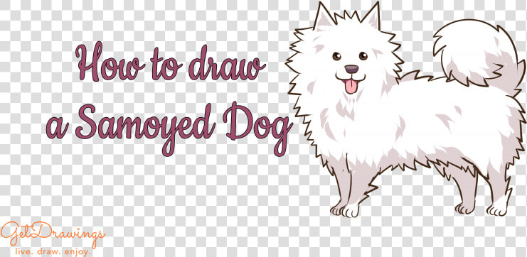 German Spitz Mittel  HD Png DownloadTransparent PNG