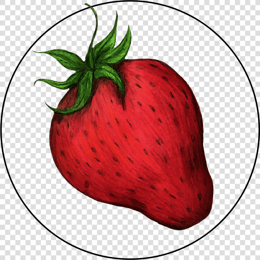 Attribute Motif Strawberry   Strawberry  HD Png DownloadTransparent PNG