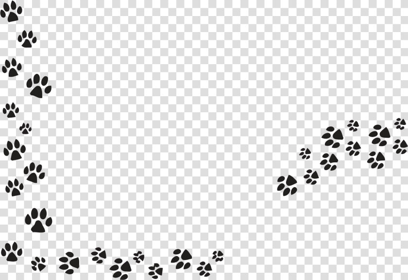 Png Dog Paw   Transparent Dog Paw Prints  Png DownloadTransparent PNG