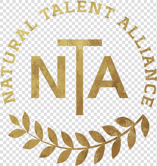 Natural Talent Agency   College Softball  HD Png DownloadTransparent PNG