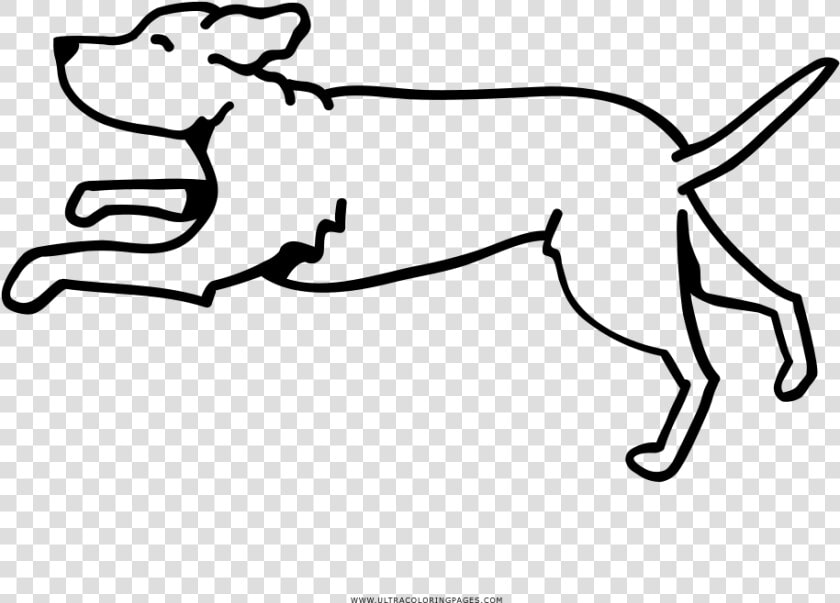 Running Dog Coloring Page   Perro Corriendo Para Dibujar  HD Png DownloadTransparent PNG