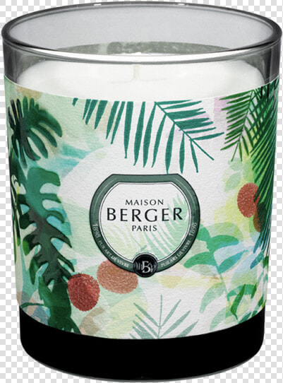 Lychee Paradise Scented Candle   Candle  HD Png DownloadTransparent PNG