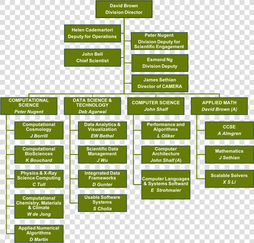 Org Chart   Parallel  HD Png DownloadTransparent PNG