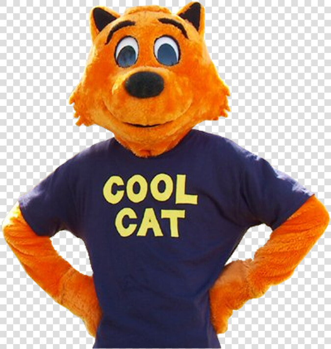 Cool Cat Transparent   Png Download   Cool Cat Png  Png DownloadTransparent PNG