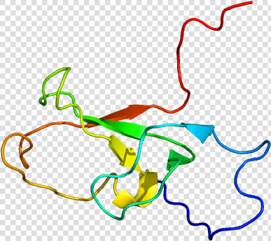 Protein Zzz3 Pdb 2fc7  HD Png DownloadTransparent PNG