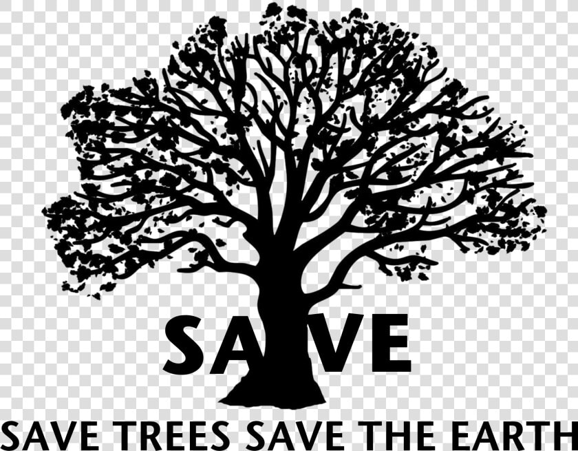 Save Tree Png Clipart   Black And White Pictures On Save Tree  Transparent PngTransparent PNG