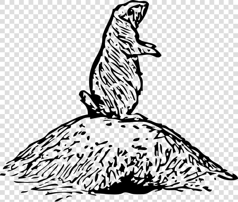 Prairie Dog Clipart Texas   Drawing Of Prairie Dog  HD Png DownloadTransparent PNG