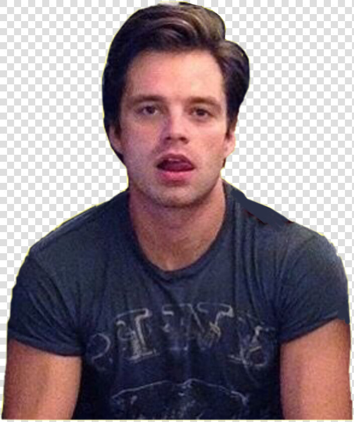 Transparent Sebastian Stan Png   Sebastian Stan Beefy  Png DownloadTransparent PNG