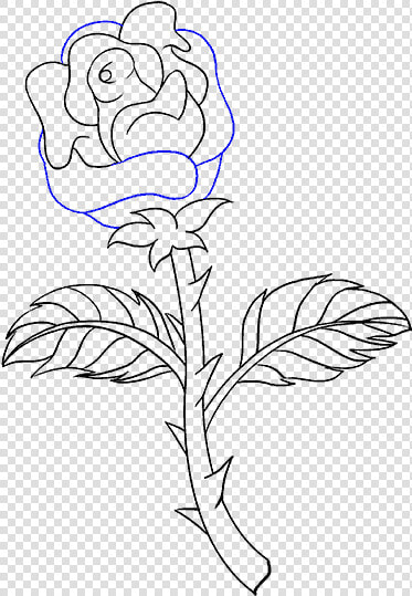 How To Draw Rose With A Stem   Draw A Rose With Stem  HD Png DownloadTransparent PNG