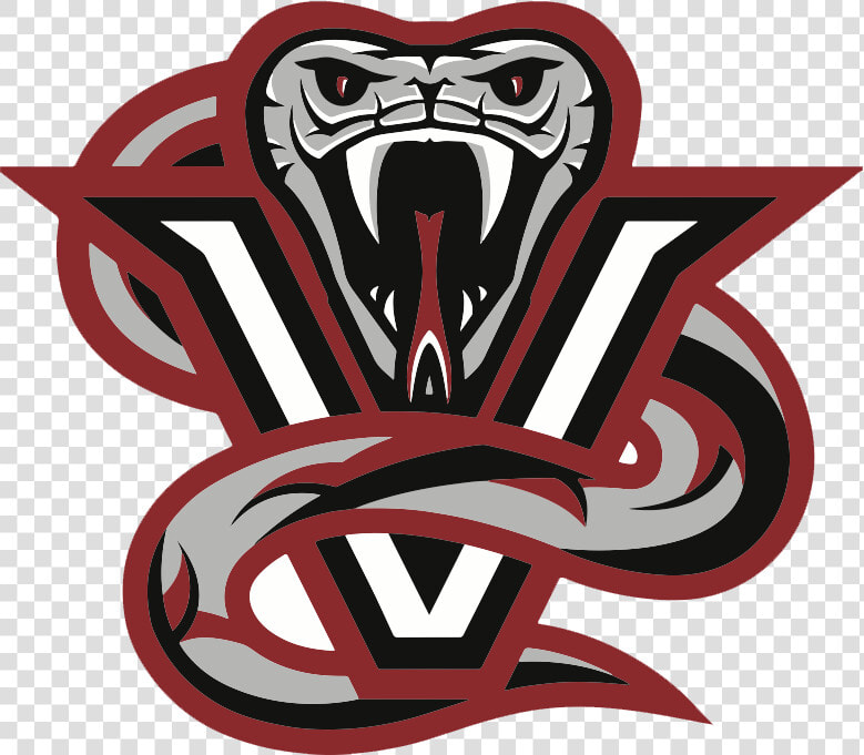 Halifax Vipers   Transparent Cartoons   Viper Basketball  HD Png DownloadTransparent PNG