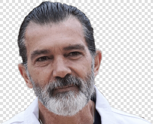 Antonio Banderas Png   Antonio Banderas Transparent Background  Png DownloadTransparent PNG