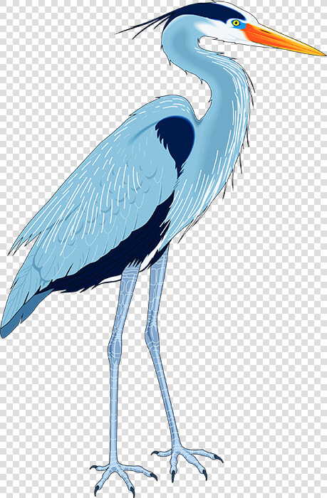 Great Blue Heron Drawing Clip Art   Blue Heron Clip Art  HD Png DownloadTransparent PNG