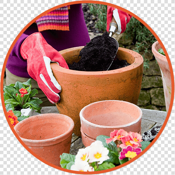 Potting Services  HD Png DownloadTransparent PNG