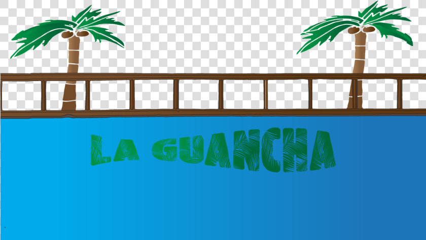 Some Of My Rejected Geofilters   Attalea Speciosa  HD Png DownloadTransparent PNG