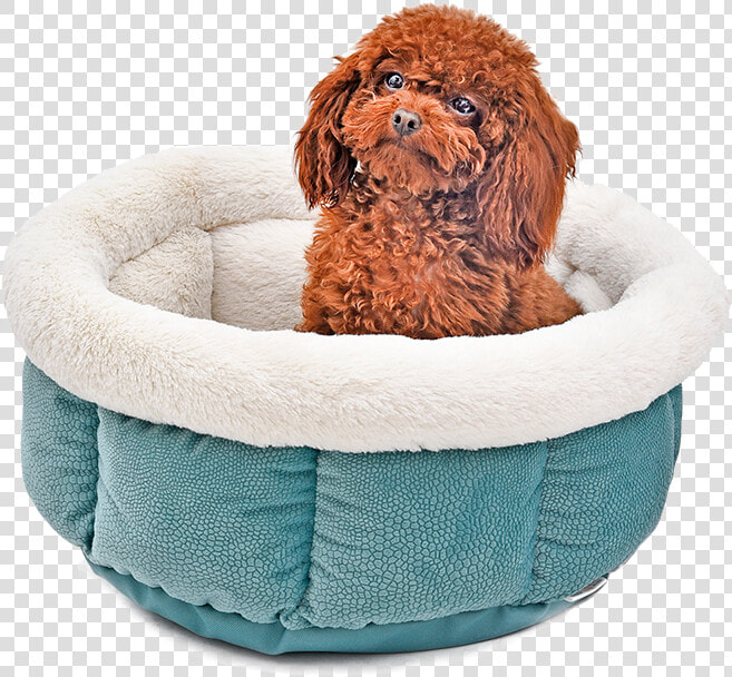 Snug Bug Pet Bed   Cat Bed  HD Png DownloadTransparent PNG