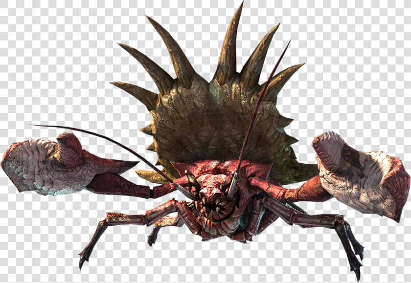 Monster Hunter Generations Daimyo Hermitaur  HD Png DownloadTransparent PNG