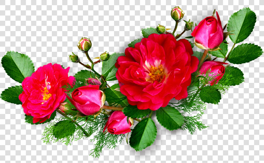 Deep Pink Rose   Transparent Rose Pink Corner  HD Png DownloadTransparent PNG