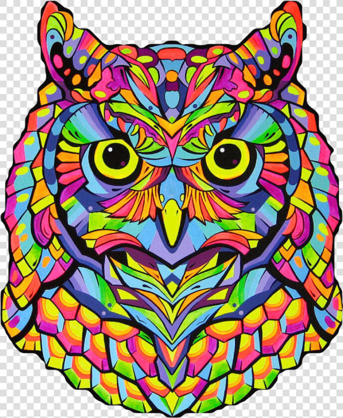  owl  colors  mandala  bird  animal  nature  beak  wings   Colorful Owl Art  HD Png DownloadTransparent PNG