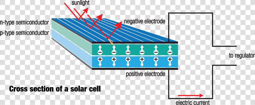 Solar Cell Anatomy   Pannello Fotovoltaico Come Funziona  HD Png DownloadTransparent PNG