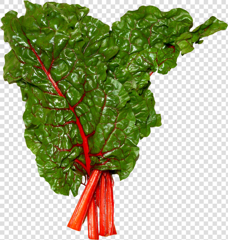 Fresh Swiss Chard Png Image  Transparent PngTransparent PNG