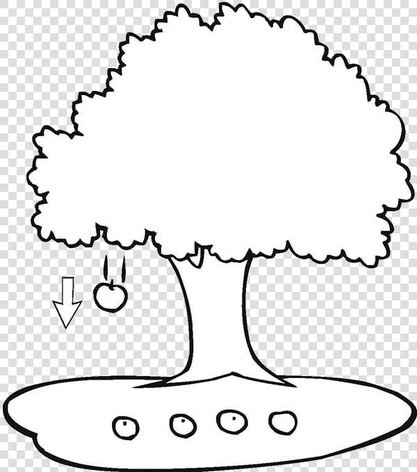 Fall Apple Tree Clipart Black And White Free Best Transparent   Apple Falling From Tree Clipart  HD Png DownloadTransparent PNG