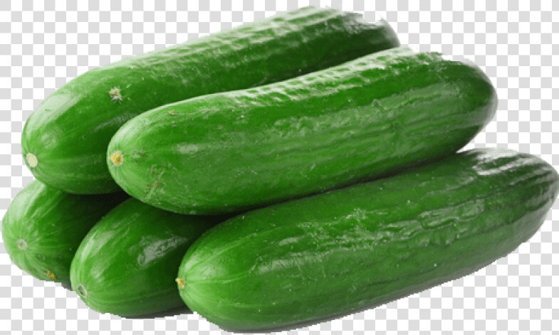 Cucumber Png Transparent Images   Transparent Background Cucumber Png  Png DownloadTransparent PNG