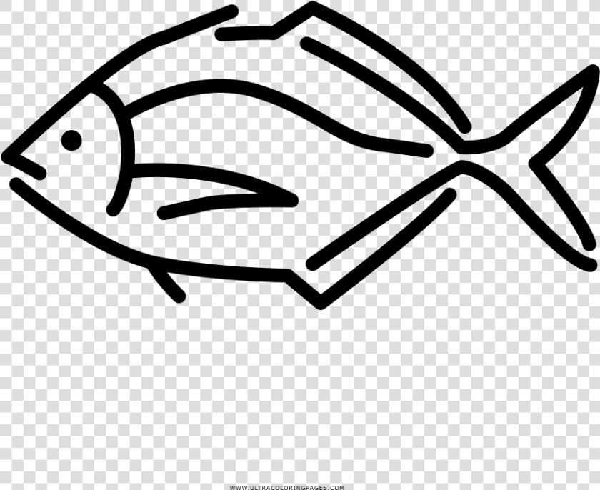 Tropical Fish Coloring Page   Pomacentridae  HD Png DownloadTransparent PNG